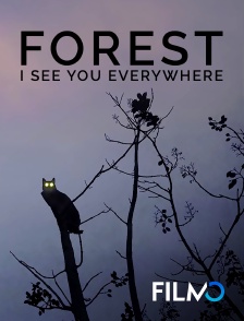 FilmoTV - Forest - I See You Everywhere