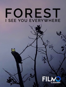 FilmoTV - Forest - I See You Everywhere