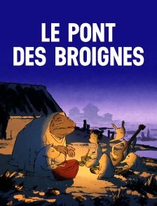 Le pont des Broignes
