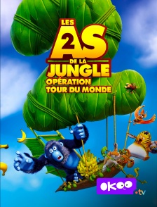 Okoo - Les as de la jungle 2 : Opération tour du monde