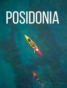 Posidonia