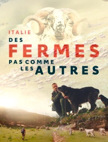 Italie : Des fermes pas comme les autres