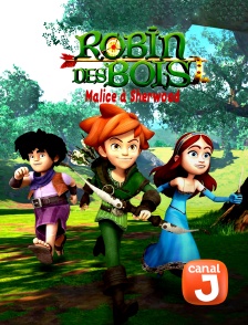 Robin des Bois, malice à Sherwood