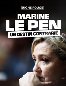 Marine Le Pen, un destin contrarié