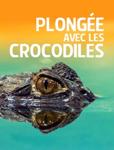 Plongée avec les crocodiles