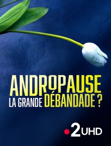 France 2 UHD - Andropause : la grande débandade ?