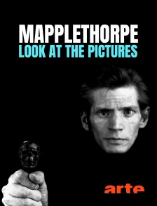 Mapplethorpe : Look at the pictures