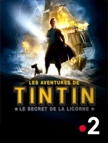 France 2 - Les aventures de Tintin : le secret de la Licorne