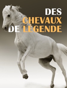 Des chevaux de légende