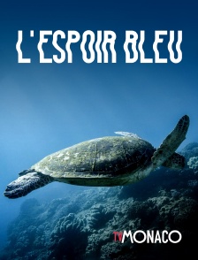 TV Monaco - Blue