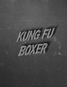 Kung Fu Boxer
