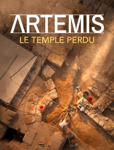 Artémis, le temple perdu
