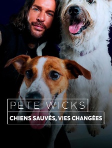 Pete Wicks : Pour l'amour des chiens !