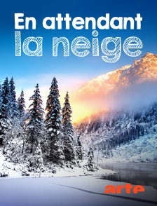 Arte - En attendant la neige