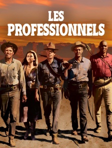Les professionnels