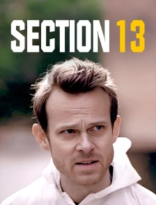 Section 13
