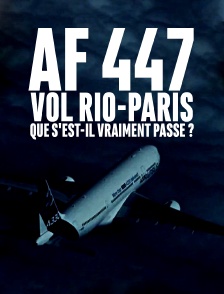 AF 447 vol Rio-Paris : que s'est-il vraiment passé ?