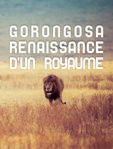 Gorongosa, renaissance d'un royaume