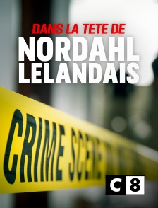 C8 - Dans la tête de Nordahl Lelandais