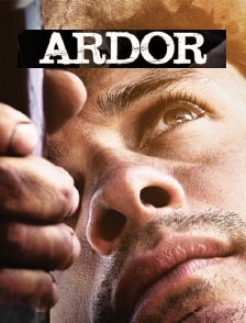 Ardor