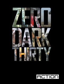 ACTION - Zero Dark Thirty