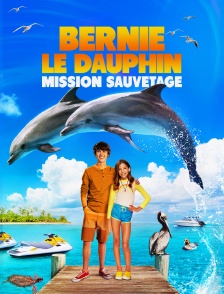Bernie Le Dauphin : Mission Sauvetage