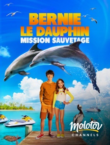 Molotov channels - Bernie Le Dauphin : Mission Sauvetage