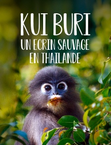 Kui Buri, un écrin sauvage en Thaïlande