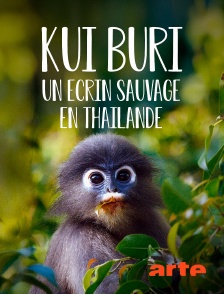 Arte - Kui Buri, un écrin sauvage en Thaïlande