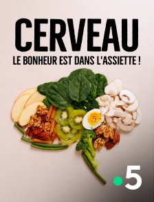 France 5 - Cerveau, le bonheur est dans l'assiette !