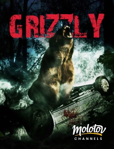 Molotov Channels - Grizzly