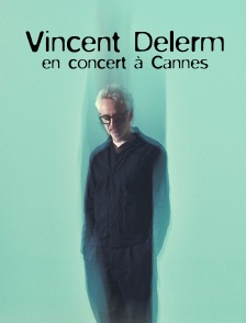 Vincent Delerm en concert à Cannes