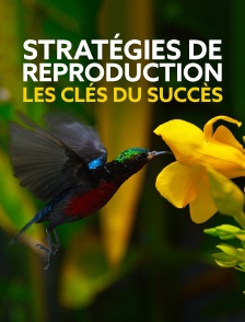 Strategy of Life