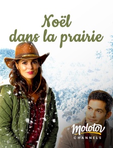 Molotov channels - Noël dans la prairie