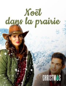 CHRISTMAS by Molotov - Noël dans la prairie