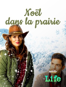 Molotov Channels Life - Noël dans la prairie