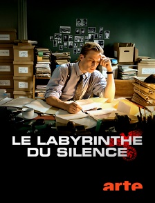 Le labyrinthe du silence