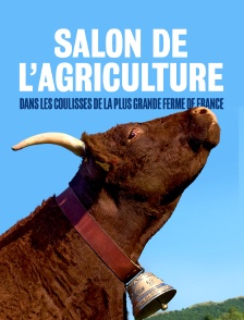 Salon de l'agriculture : dans les coulisses de la plus grande ferme de France