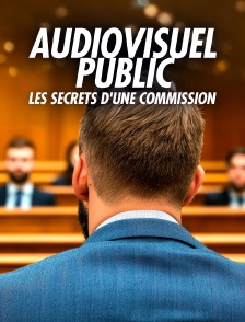 Audiovisuel public : les secrets d'une commission