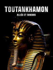 Toutankhamon : Alliés et ennemis