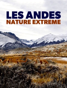 Les Andes, nature extrême