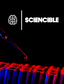 Sciencible