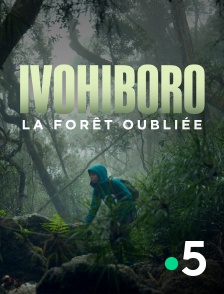 France 5 - Ivohiboro, la forêt oubliée