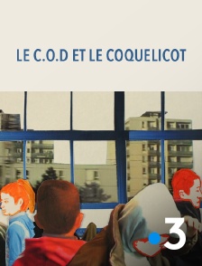 Le C.O.D. et le coquelicot