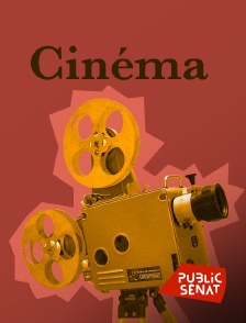Public Sénat - Au coeur du cinéma