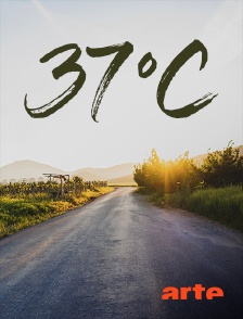 37°C