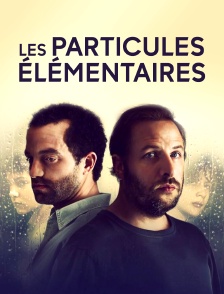 Les particules élémentaires