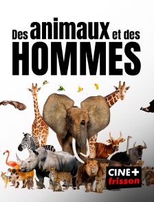 CINE+ Frisson - Des animaux et des hommes