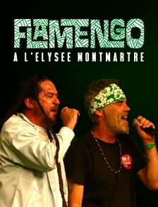Flamengo à l'Elysée Montmartre