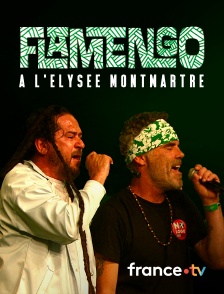 Culturebox - Flamengo à l'Elysée Montmartre
